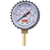 Push-In Pressure Gauge (0-15 psi)