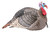 HUNTERS SPECIALTIES (GSM) HS Strut 100003 Strut-Lite Jake Wild Turkey Species Multi Color Synthetic
