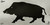 ALLEN COMPANY INC EZ-Aim 15801 Boar Adhesive Thermal ID Paper 24" x 12" Black/Gray