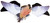 AVIAN X (GSM) Avian X AVXDP102 PowerFlight  Spinning Wing Dove Multi-Color