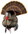 AVIAN X (GSM) Avian X AVXAVX8108 HDR Strutter Turkey Species Multi Color