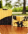 John Wayne Goat Milk Soap