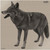 RESHET GRAF LTD INFRARED-ID RCOYOTEL1   THERM COY TARGT