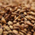 CaraMunich® II Malt - Weyermann® Specialty Malts
