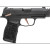 Sig Sauer P365-XL Rose Comp | 9MM | 12-RD Semi-Auto Pistol - view 2