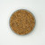 Turkey Red, Ancient Hard Red Winter Wheat, Organic