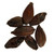 Pale Chocolate Malt - Crisp Malt