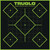 TRUGLO INC (GSM) TruGlo TG14A6 Tru-See 5- Diamond Target Self-Adhesive Heavy Paper Black/Green 12"x12" 6 Pack