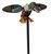 MOJO/HUNT WISE Mojo Outdoors HW2490 Elite Series Spoonzilla Duck Species Multi Color Molded Plastic