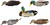 AVIAN X (GSM) Avian X AVX-PSW-MDLH Power Swimmer  Mallards Multi-Color
