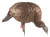 AVIAN X (GSM) Avian X AVXAVX8107 HDR Feeder Hen Turkey Species Multi-Color