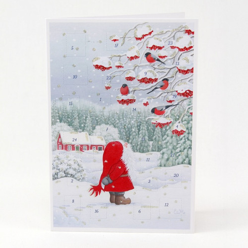 Tomte with Birds Advent Calendar Card