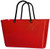 Large Hinza Plastic Totes
