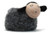 Winsome Sheep Family
