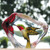 Mats Jonasson Hummingbird Crystal Block