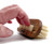 Nail Brush