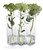 Row Vase - Clear