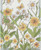 Ekelund Daffodil Runner