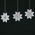 Hardanger Stars Class