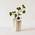 Felt French Anemone