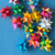 Moravian Stars Class