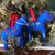 Embroidered Dala Horse Ornament Class