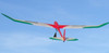 Jaguar  Electric Glider  (LC)