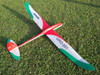 Jaguar competition Glider (SC)