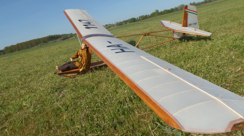 Tücsök "Grig" 1:4 scale  glider with pilot