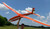 Táltos"Pegasus" Compact Version   Electric Glider