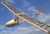 Vöcsök "Grebe" (SC)  1:8 scale glider