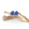 Cobalt Sea Glass Prong Post Earrings