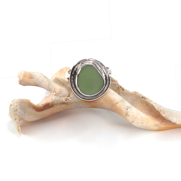 Olive Sea Glass Nest Ring - Size 9 Olive Sea Glass Nest Ring - Size 9