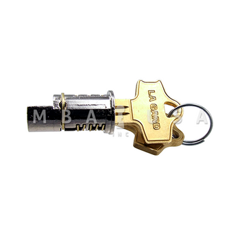 Key-Locking Cylinder w/ Pair of Keys, Double Sided (FORT))