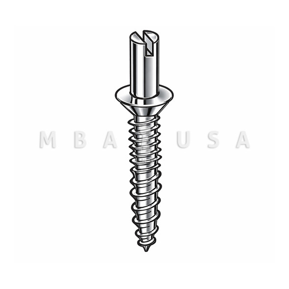 DON-JO Commercial Hinge Security Screw, #12 Head, Chrome Plated, Pack of 2 (CHP-100-CP)