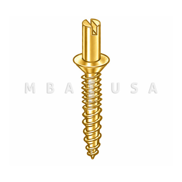DON-JO Residential Hinge Security Screw, #10 Head, Brass Plated, Pack of 2 (RHP-100-BP)