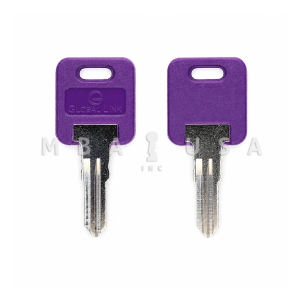 Framon / Blue Dog FIC Series G301-G390 Key Blank, Purple Plastic Head (IIco FIC3-P)