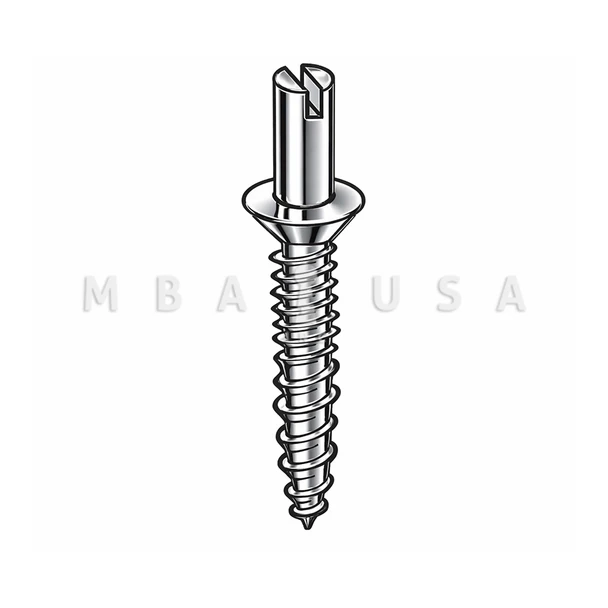 DON-JO Residential Hinge Security Screw, #10 Head, Chrome Plated, Pack of 2 (RHP-100-CP)