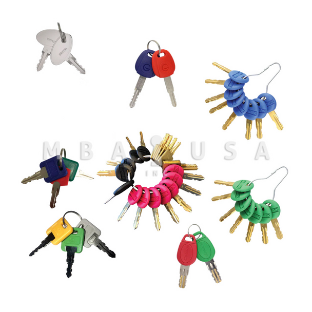 Framon / Blue Dog RV Master Key Package