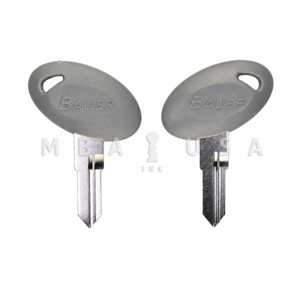 Framon / Blue Dog Bauer Key Blank, Series RV701-770, Gray Plastic Head