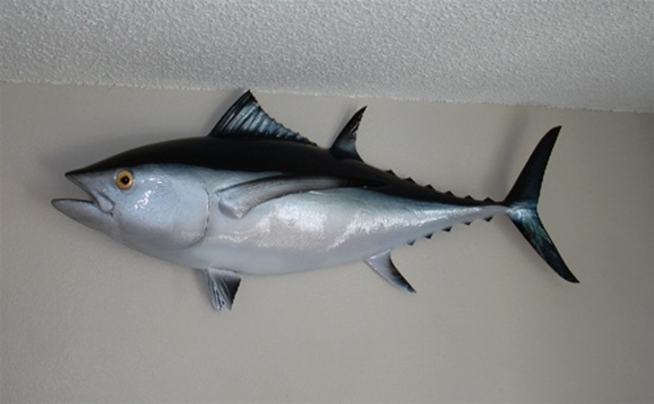 38 Albacore Tuna Half Mount Fish Replica