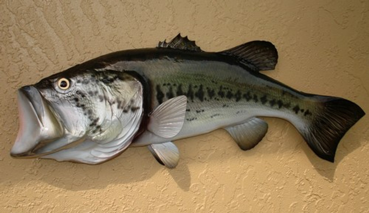 Large Mouth Bass Half Mount Fish Replica 22