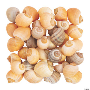 130+ SMALL SEA SHELLS .5 TO 1.25 TALL - 1 CUP - LARGE VARIETY - CRAFTING