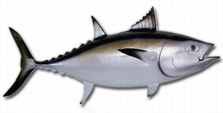 35" Blackfin Tuna Half Mount Fish Replica Taxidermy