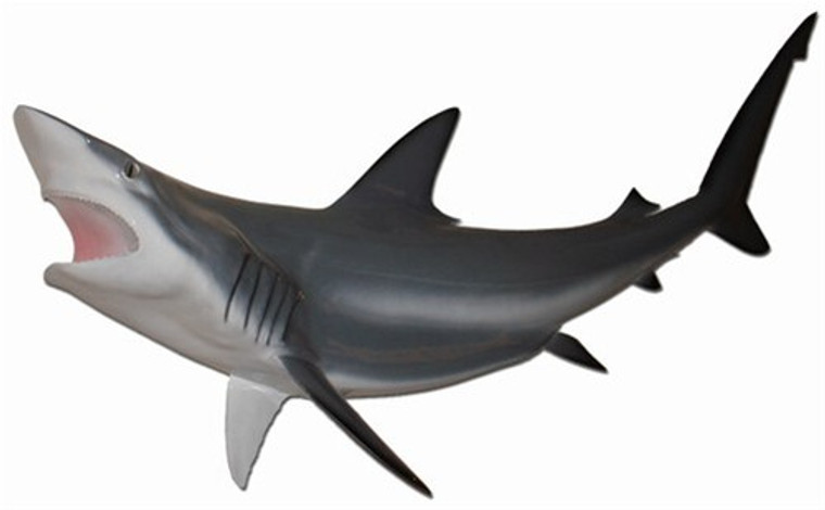 47" Shark "Black Tip Spinner" Half Mount Fish Replica
