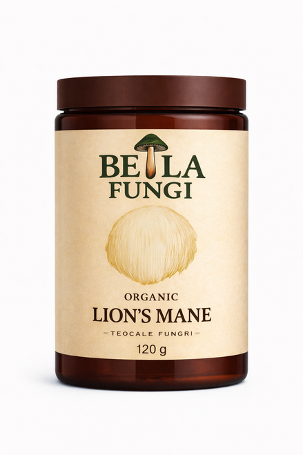 Lions Mane, Organic Powder  - 120G Bag