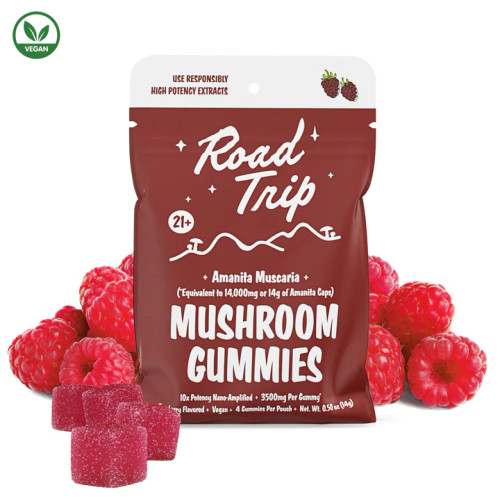 Road Trip Mushroom Gummies - Raspberry - ( Display of 10 )