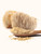 Lions Mane, Organic Mushroom Powder - 25kg Bale