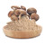Shiitake, Organic Mushroom Powder - 25Kg Bale