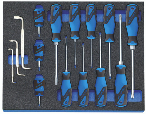 Gedore 2005 CT2-2160 Screwdriver set in 2/4 CT tool module, 15 pcs 2016311